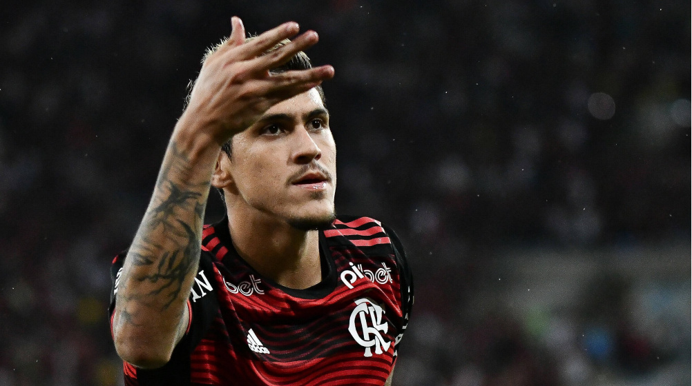 pedro-flamengo-2022-1660793347-90451